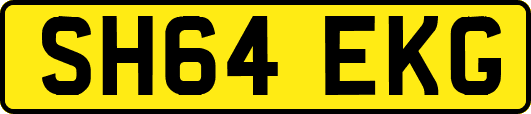 SH64EKG