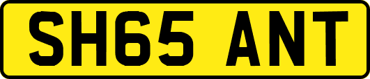 SH65ANT