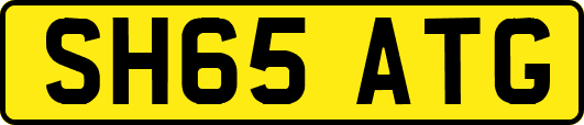 SH65ATG