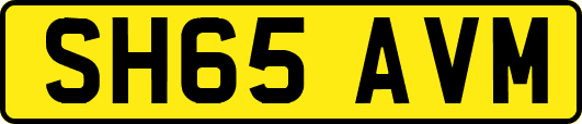 SH65AVM