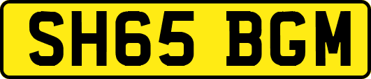 SH65BGM
