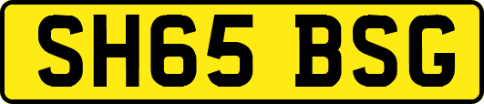 SH65BSG