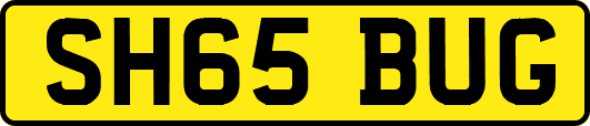 SH65BUG