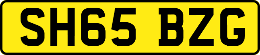 SH65BZG