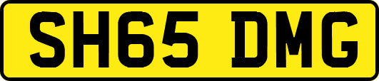 SH65DMG