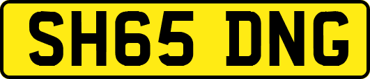SH65DNG