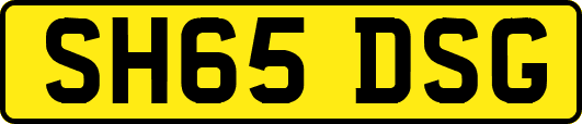 SH65DSG