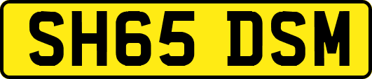 SH65DSM