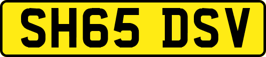 SH65DSV