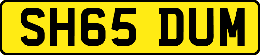 SH65DUM