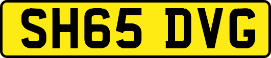 SH65DVG