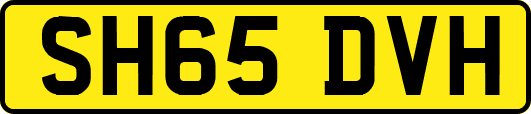 SH65DVH
