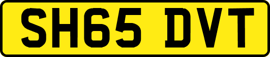 SH65DVT