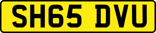 SH65DVU