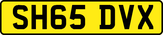 SH65DVX
