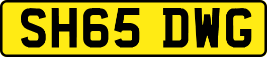 SH65DWG