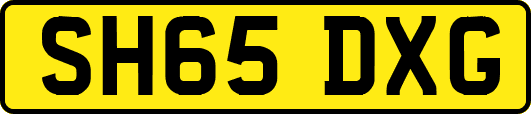 SH65DXG