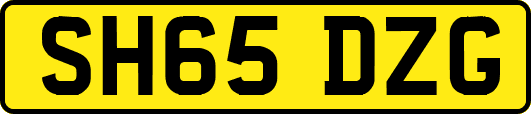 SH65DZG