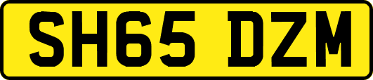 SH65DZM