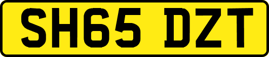 SH65DZT