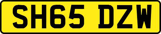 SH65DZW