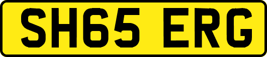 SH65ERG