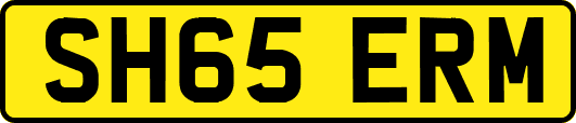 SH65ERM