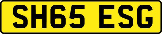 SH65ESG