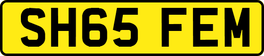 SH65FEM