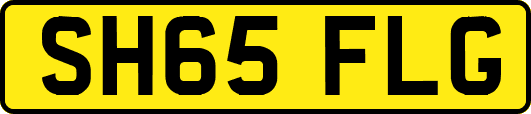 SH65FLG