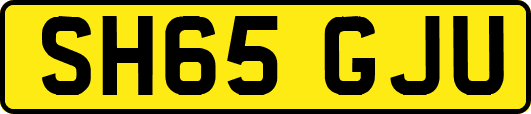 SH65GJU