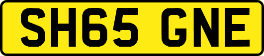 SH65GNE