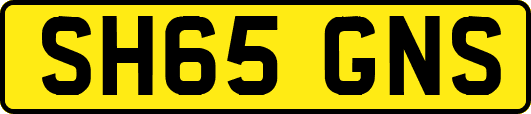 SH65GNS