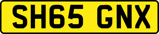 SH65GNX