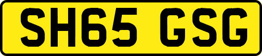 SH65GSG