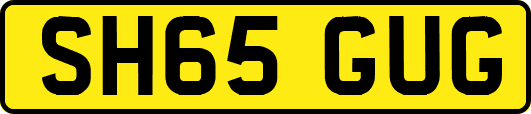 SH65GUG