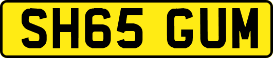 SH65GUM