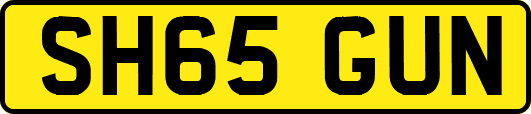 SH65GUN