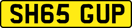 SH65GUP