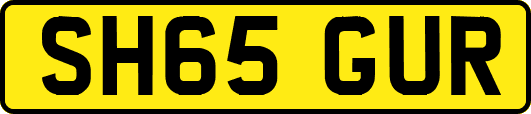 SH65GUR