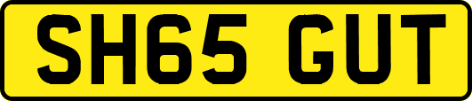 SH65GUT