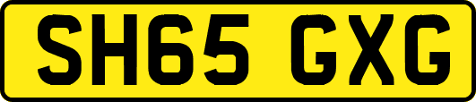 SH65GXG