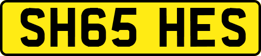 SH65HES