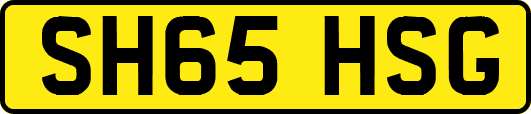 SH65HSG