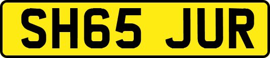 SH65JUR