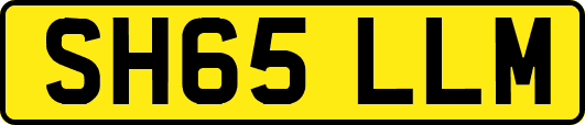 SH65LLM