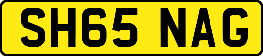 SH65NAG