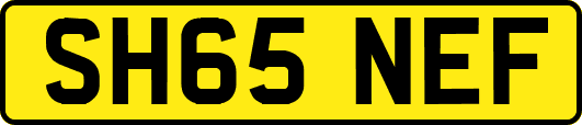 SH65NEF