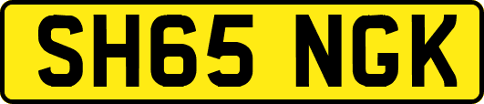 SH65NGK
