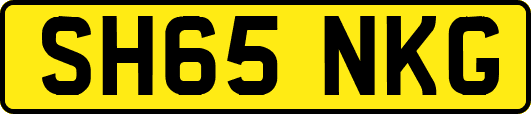 SH65NKG